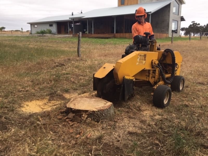 Stump grinding removal