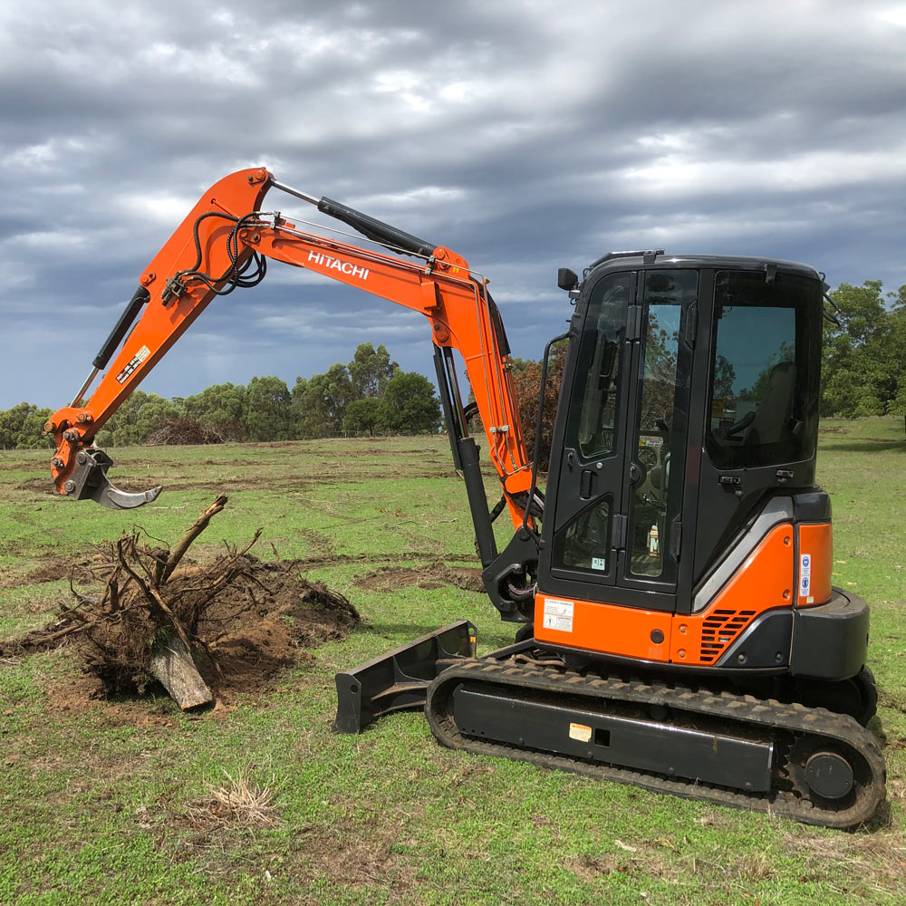 Stump grinding and removal