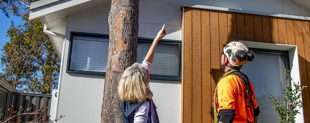 Arborist consulting a homeowner about a mature tree in a residential garden