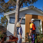 Arborist consulting a homeowner about a mature tree in a residential garden