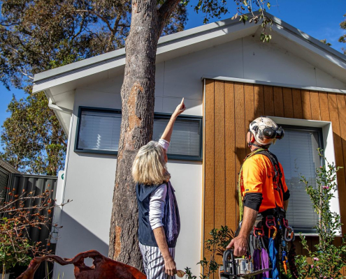 Arborist consulting a homeowner about a mature tree in a residential garden