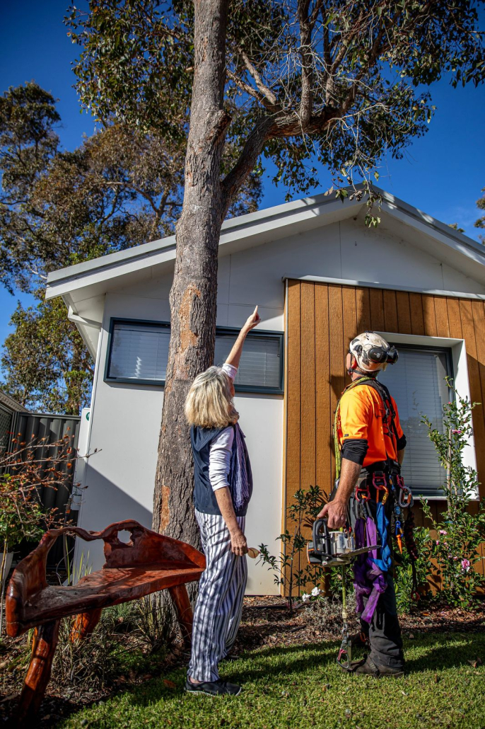 South West Tree Services arborist climbing with harness and chainsaw
