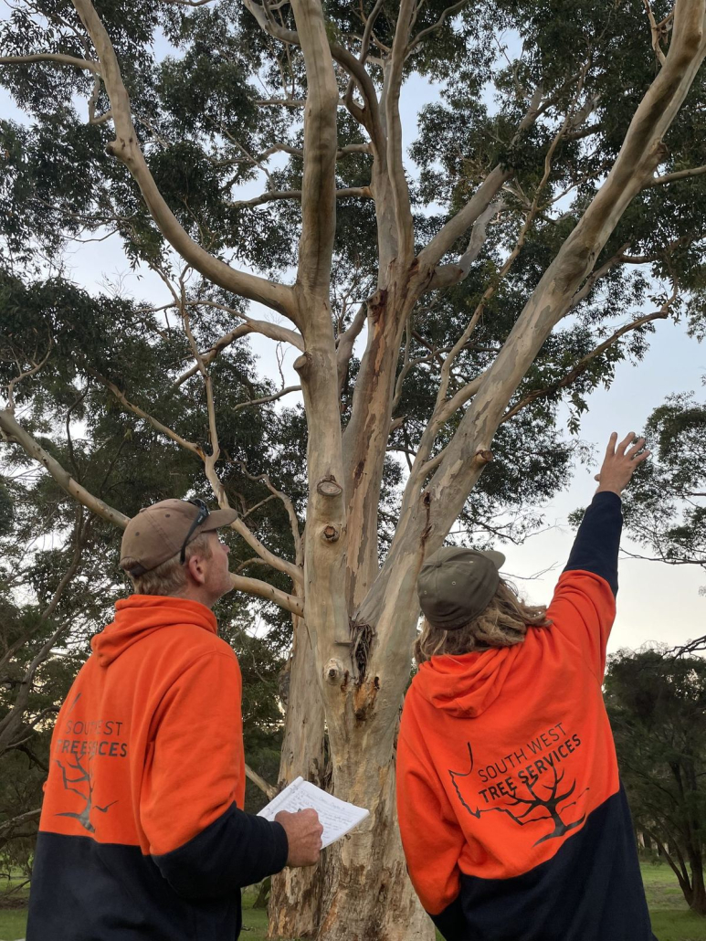 Environmental Arborist Assessment 2 Environmental and arborist assessment fieldwork in the Margaret River region