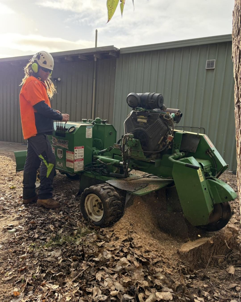 Low-impact stump grinding on a residential property