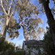 Tree care and landscape work in South West Western Australia