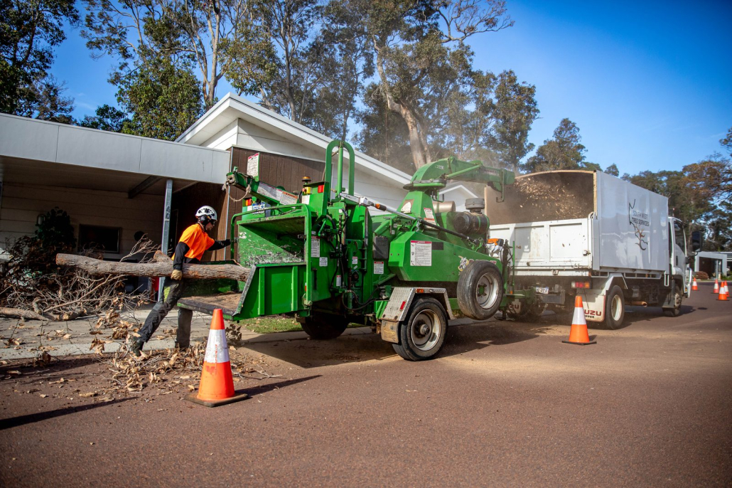 Whole tree mulching and organic mulch production