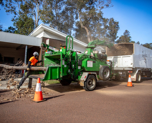Whole tree mulching and organic mulch production